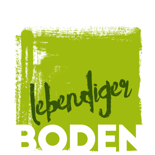 September bis Oktober 2022 –  Projekttage MS Bad Schallerbach